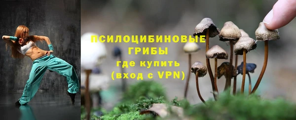 ALPHA-PVP Алексеевка